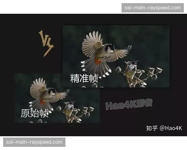 感知编码技术在现阶段普及，不仅优化了传输码率还确保视觉显示的一致性